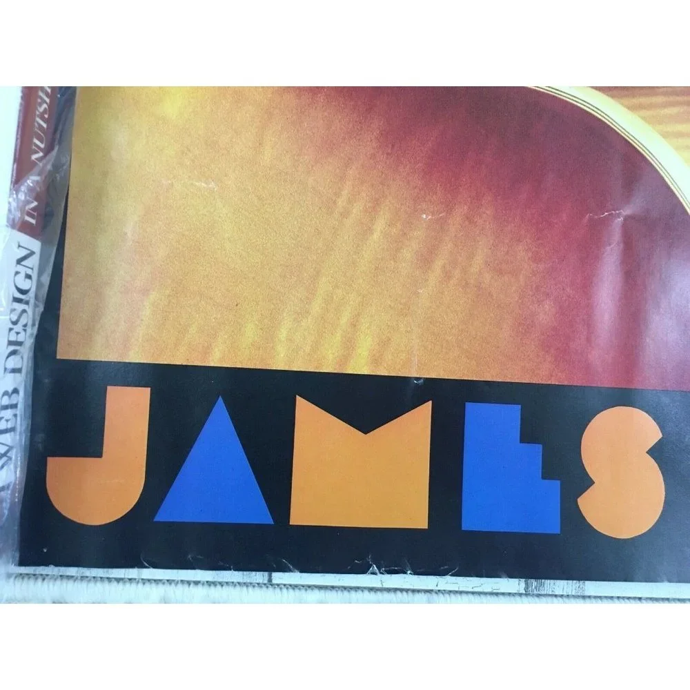 Vtg 1981 James Taylor Record Store Promo Poster Dad Loves His Work - Picture 2 of 12